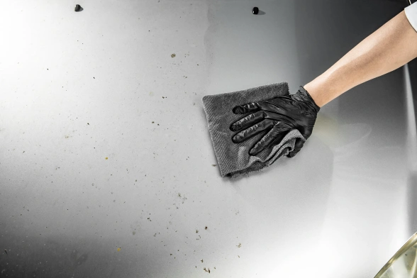 SGCB Удалитель насекомых 500ml Bug Stain Remover, очистка кузова снаружи